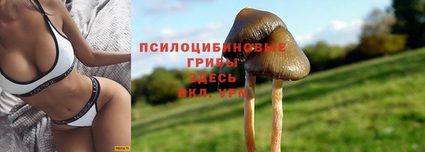 индика Бабаево