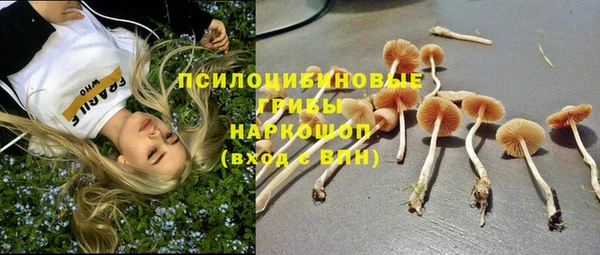 дурь Бежецк