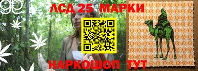 мет Донецк