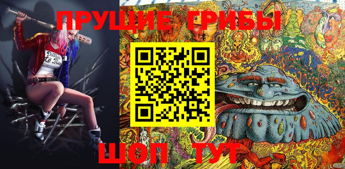 Псилоцибиновые грибы Psilocybe Кунгур